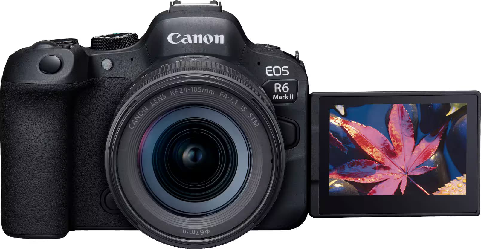 Canon EOS R6 Mark II Mirrorless Camera (Body)