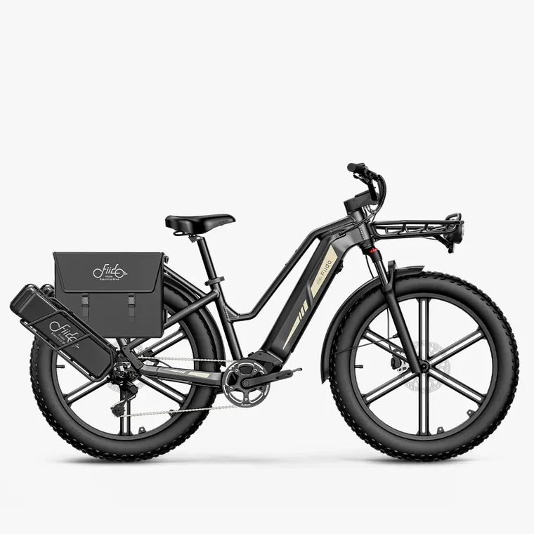Fiido Titan Cargo E-Bike