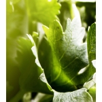 Bvlgari Perfume - Image 5