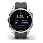 Garmin Fenix 7S Smartwatch