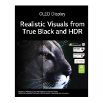 LG Gram Style 16Z90RS 16″ OLED Laptop - Image 14