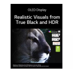 LG Gram Style 16Z90RS 16 OLED Laptop - View 14