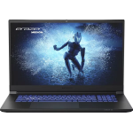 Medion Erazer Defender P40 17.3″ Gaming Laptop