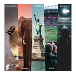 Praktica Ambassador Binoculars - View 7