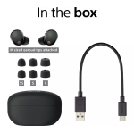 Sony Earbuds - View 4